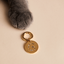 Load image into Gallery viewer, Letter G Pet Charm