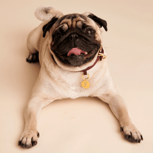 Load image into Gallery viewer, Letter G Pet Charm