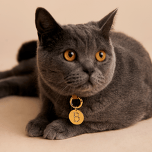 Load image into Gallery viewer, Letter G Pet Charm
