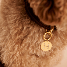 Load image into Gallery viewer, Letter H Pet Charm