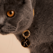 Load image into Gallery viewer, Letter I Pet Charm