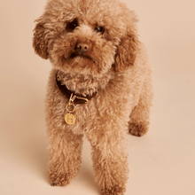 Load image into Gallery viewer, Letter K Pet Charm