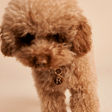 Load image into Gallery viewer, Letter S Pet Charm