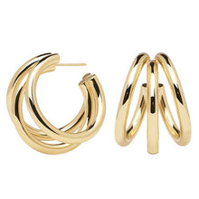 Load image into Gallery viewer, True gold earrings
