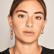 Load image into Gallery viewer, Muze gold earrings
