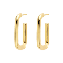 Load image into Gallery viewer, Muze gold earrings
