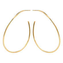 Load image into Gallery viewer, Niko Gold Earrings
