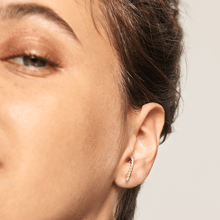 Load image into Gallery viewer, Bird Gold Earrings
