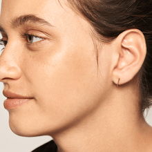 Load image into Gallery viewer, Light Bird Gold Earrings
