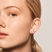 Load image into Gallery viewer, Citric Petite earrings
