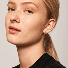 Load image into Gallery viewer, Lady Bird earrings
