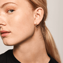 Load image into Gallery viewer, Horizon Gold Earrings

