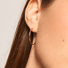 Load image into Gallery viewer, Large Hoops Gold
