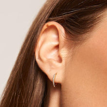 Load image into Gallery viewer, Celeste Mini Hoops Gold

