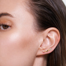 Load image into Gallery viewer, Euphoria Earrings
