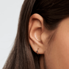 Load image into Gallery viewer, Lux Earrings
