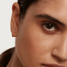 Load image into Gallery viewer, Lavender Solitary Earrings Gold
