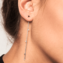Load image into Gallery viewer, Fierce silver earrings
