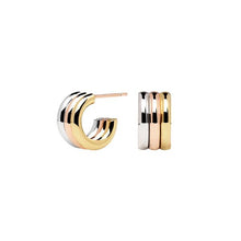 Load image into Gallery viewer, Pure earrings
