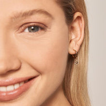 Load image into Gallery viewer, Ranch Earrings Set
