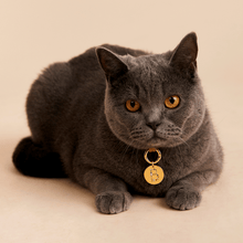 Load image into Gallery viewer, Letter I Pet Charm
