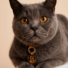 Load image into Gallery viewer, Letter B Pet Charm
