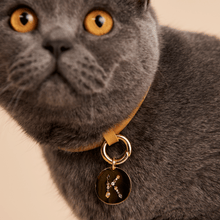 Load image into Gallery viewer, Letter K Pet Charm
