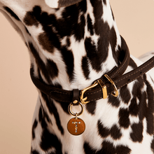 Load image into Gallery viewer, Letter B Pet Charm
