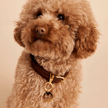 Load image into Gallery viewer, Letter B Pet Charm
