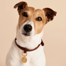 Load image into Gallery viewer, Letter S Pet Charm
