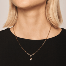 Load image into Gallery viewer, West Necklace
