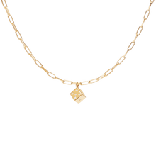 Load image into Gallery viewer, Player Necklace
