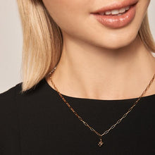 Load image into Gallery viewer, Player Necklace
