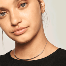 Load image into Gallery viewer, Alpha Silver Necklace
