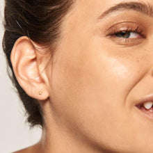 Load image into Gallery viewer, Essentia Gold Earrings
