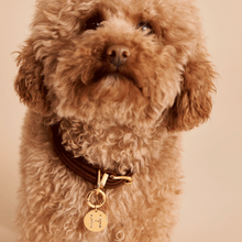 Load image into Gallery viewer, Letter I Pet Charm
