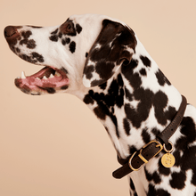 Load image into Gallery viewer, Letter K Pet Charm
