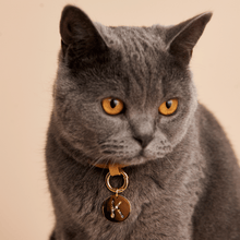 Load image into Gallery viewer, Letter S Pet Charm
