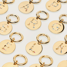 Load image into Gallery viewer, Letter U Pet Charm
