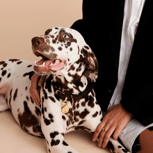 Load image into Gallery viewer, Letter U Pet Charm

